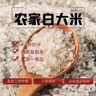 大米粮食农副产品主图直通车模板