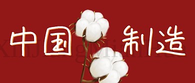 新疆问题党政热点公众号首图