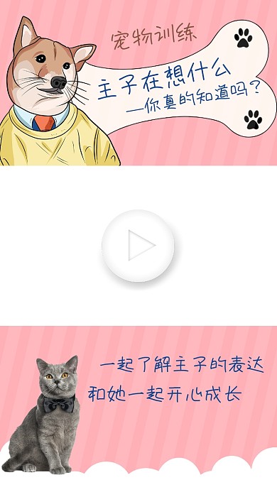 宠物训练宠物了解直播视频边框