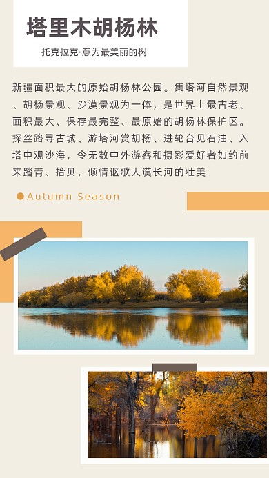 黄色简约塔里木胡杨林风景旅游文章配图