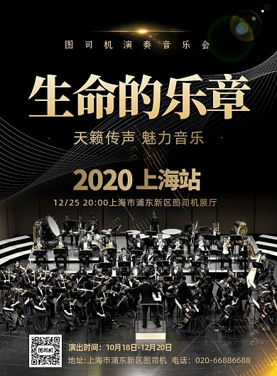 音乐演奏会大气印刷海报