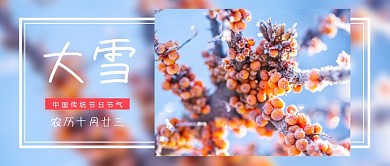 冷色系大雪节气摄影图公众号首图