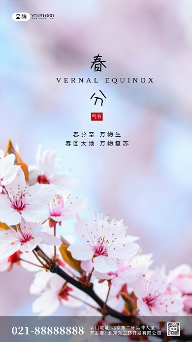 粉色简约春分气节摄影图手机海报