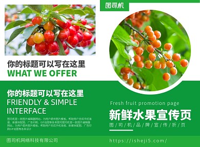 新鲜水果促销宣传广告印刷二折页