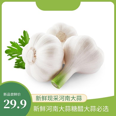 简约风农家自种干大蒜蒜头干蒜主图