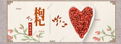 健康补品枸杞banner