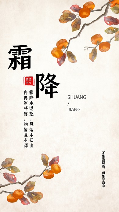 霜降节气小清新柿子文章配图