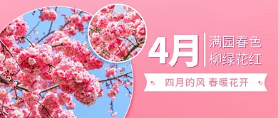 四月你好桃花粉色简约公众号首图