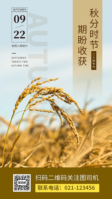 秋分节日手机海报