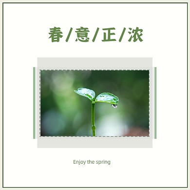 绿色可爱小清新春意正浓方形配图