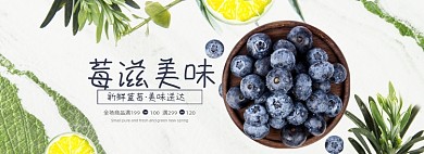 新鲜水果蓝莓全屏海报banner