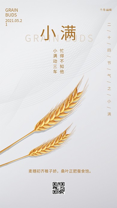 小满十四节气灰色简洁海报