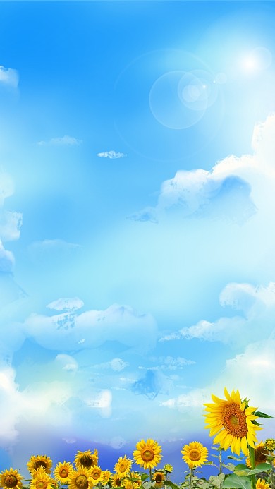 六月你好向日葵蓝色清新背景