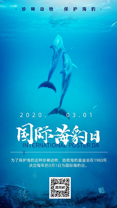 国际海豹日手机海报