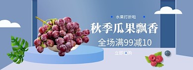 秋季瓜果飘香葡萄水果banner