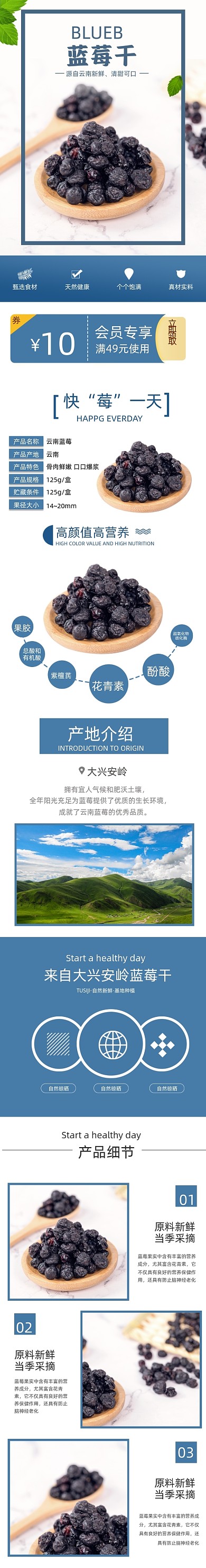 蓝莓干蓝莓水果果脯零食详情页