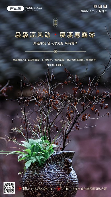 寒露节气摄影图文艺清新简约手机海报