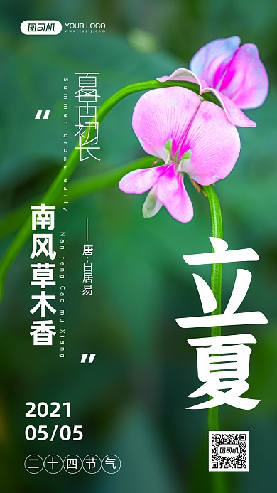 立夏节气花朵摄影图手机海报