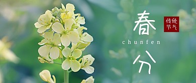 春分节气春天宣传油菜花公众号首图