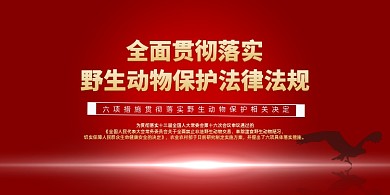 红色野生动物保护法展板