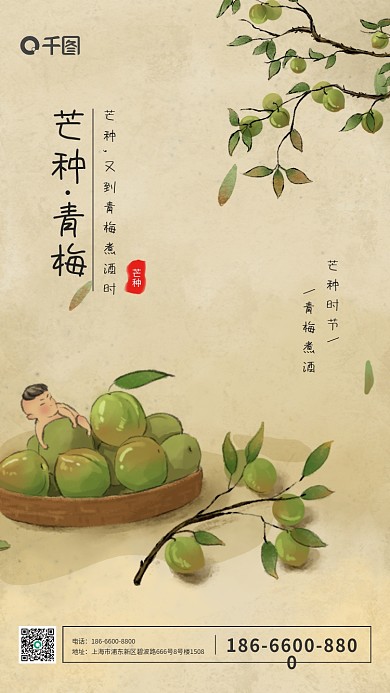 节气芒种青梅煮酒国风简约古典手机海报