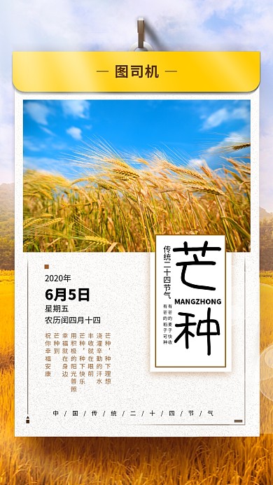 芒种节日手机海报