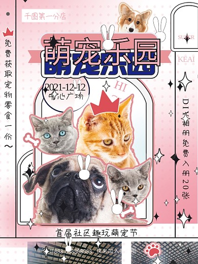 简约卡通宠物休闲主题活动宣传海报展板