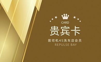 大气金色商务洗车卡VIP卡