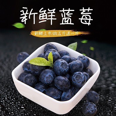 绿色健康水果蓝莓主图