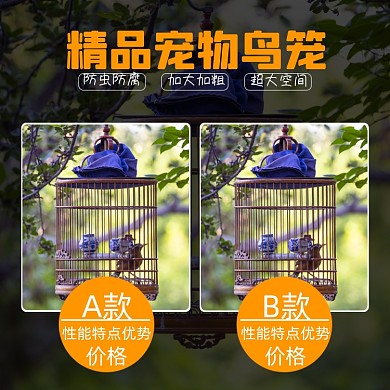 鸟笼笼子淘宝主图直通车模板