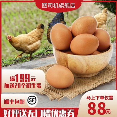 土鸡蛋直通车图