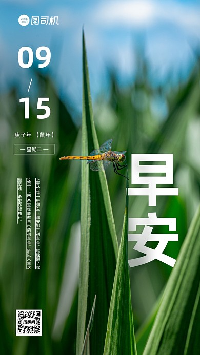 月签日签手机海报