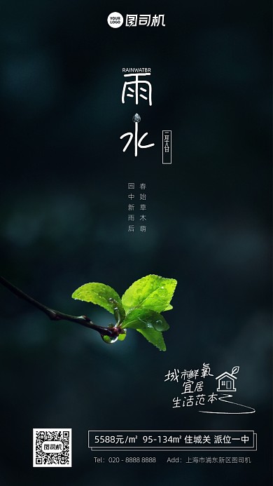 雨水传统节日写实照片手机海报