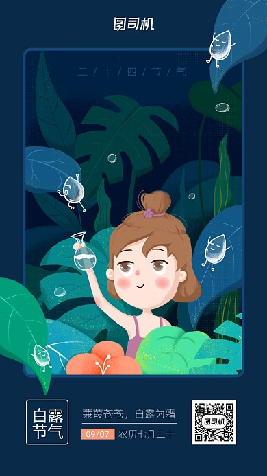 白露节气简约插画宣传海报