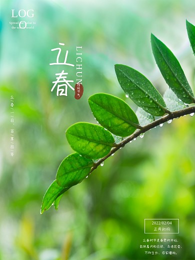 立春二十四节气绿叶露珠春天万物复苏海报图
