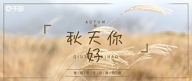 秋天你好芦苇摄影图简约清新微信公众号封面