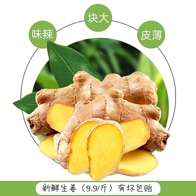 新鲜生姜功能介绍促销主图