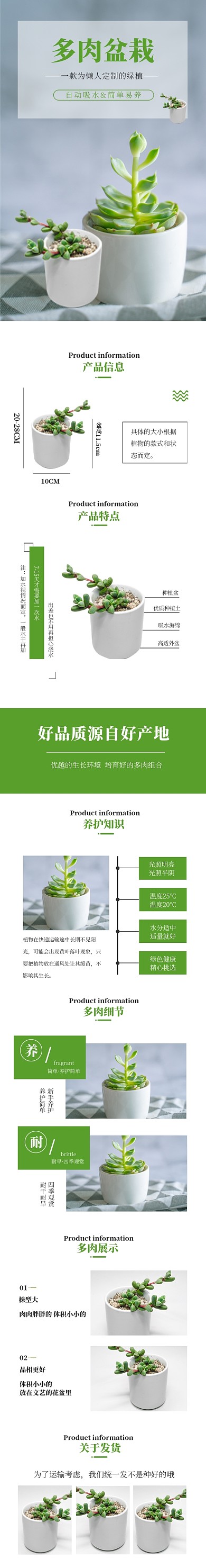 简约绿色多肉盆栽绿植电商淘宝详情页