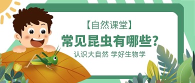 自然课堂昆虫生物公众号首图