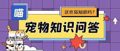 宠物知识问答手绘卡通公众号首图