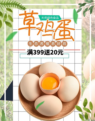 生态草鸡蛋天然鸡蛋海报