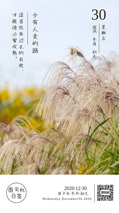 日签正能量文艺风手机海报