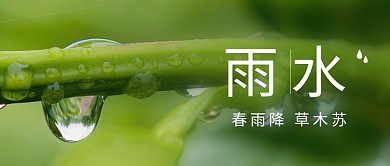 雨水节气滴露下雨时节统节气公众号封面图