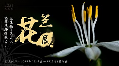 2021兰花艺术展花卉展览广告banner