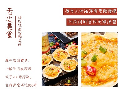 舌尖美食贝壳类横版配图
