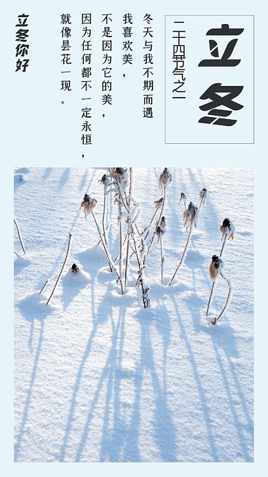 简约雪景冬至节气文章配图