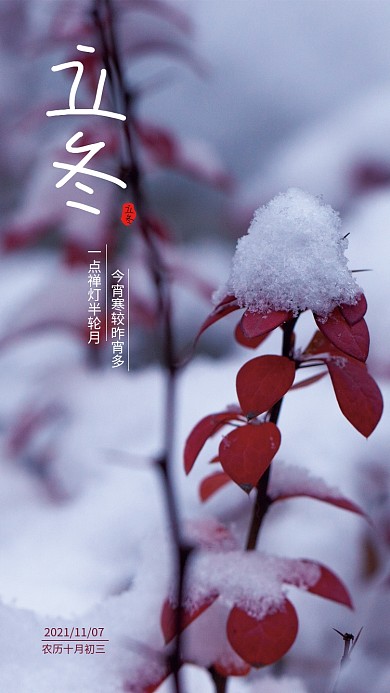 立冬雪与植物摄影海报