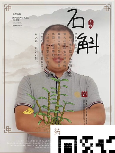 中国风中医人参石斛枸杞枇杷宣传海报