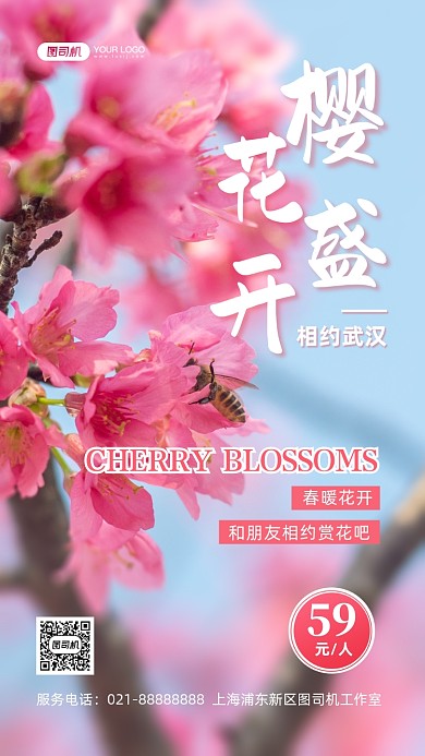 樱花盛开旅游赏花写实手机海报
