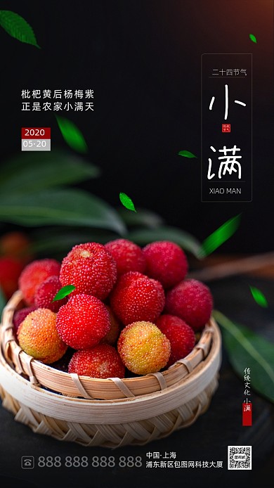 清新杨梅摄影小满节气海报
